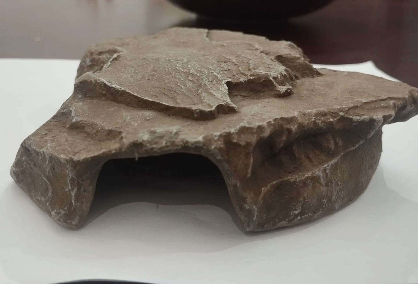 Small Reptile Rock Hide